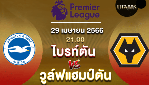 ไบรท์ตันvsวูล์ฟแฮมป์ตัน