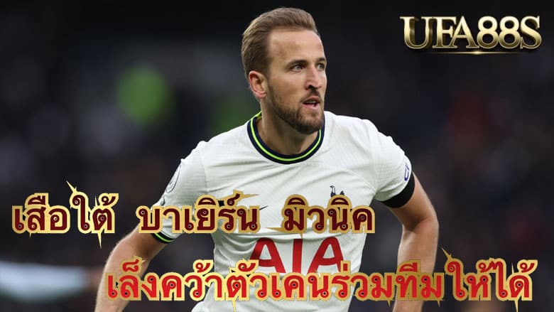 เสือใต้ บาเยิร์น มิวนิค