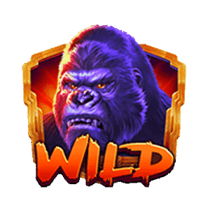 Wild Symbol