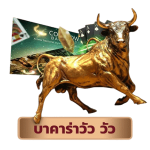 บาคาร่า วัว