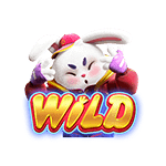 Wild Symbol