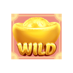 Wild Symbol