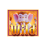 Wild Symbol