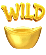Wild Symbol