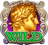 Wild Symbol
