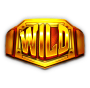 Wild Symbol