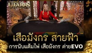 เสือมังกร สายฟ้า