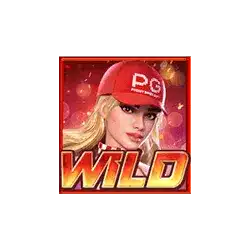 สัญลักษณ์ WILD