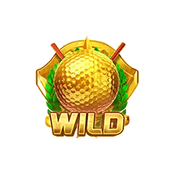 สัญลักษณ์ WILD