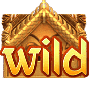 Wild Symbol