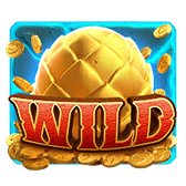 Wild Symbol