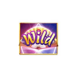 สัญลักษณ์ Wild