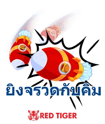 ยิงจรวดกับคิม