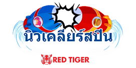 นิวเคลียร์สปิน