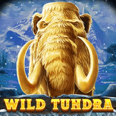 Wild Tundra