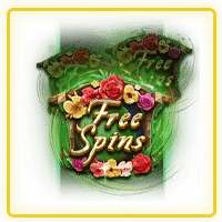 free spins