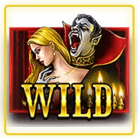 Wild Symbol