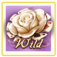 wild symbol